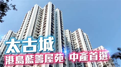 2024樓價|樓市成交及樓價走勢 Centadata｜中原地